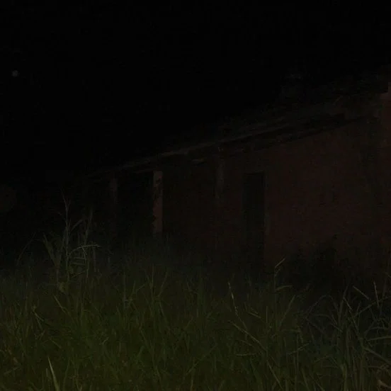 Avatar of Camp Out Until Dawn [Alone?..]