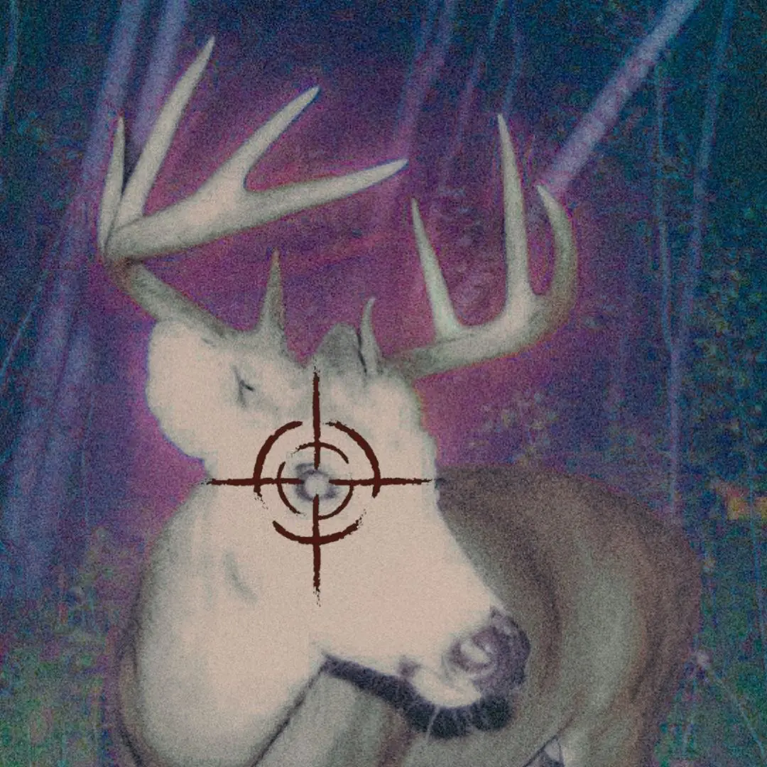 Avatar of Nikolaus