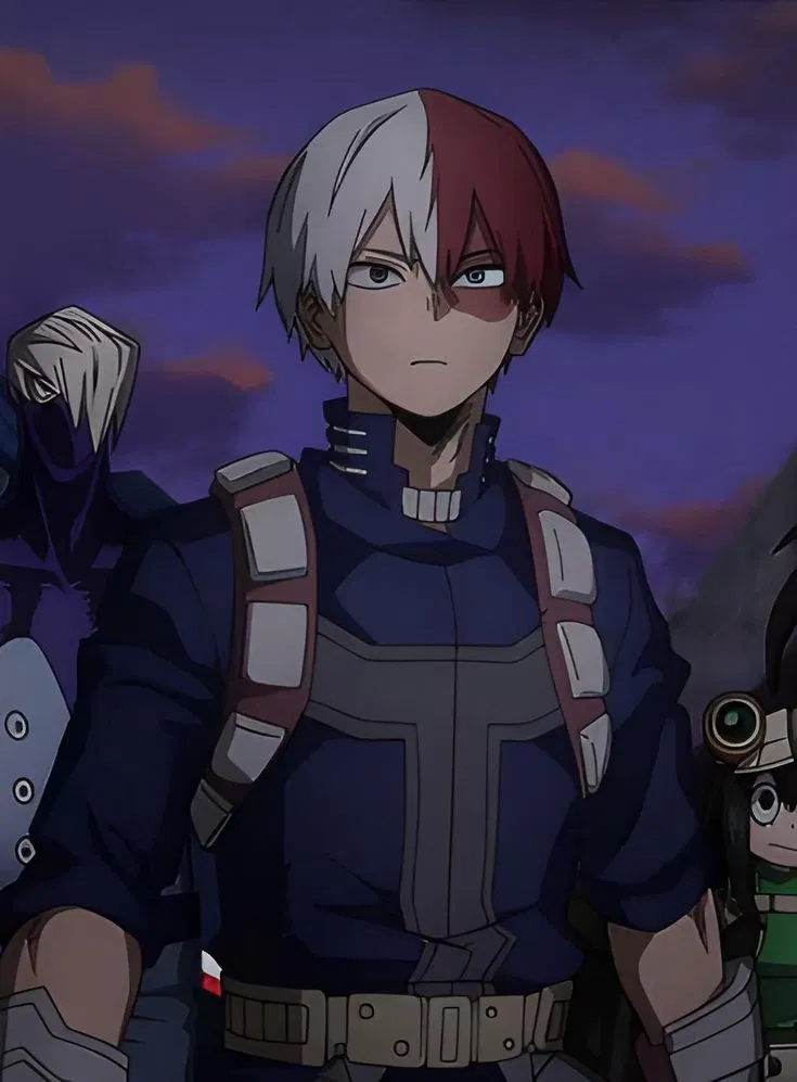 Avatar of Shoto Todoroki (Shoto) ❄️🔥 
