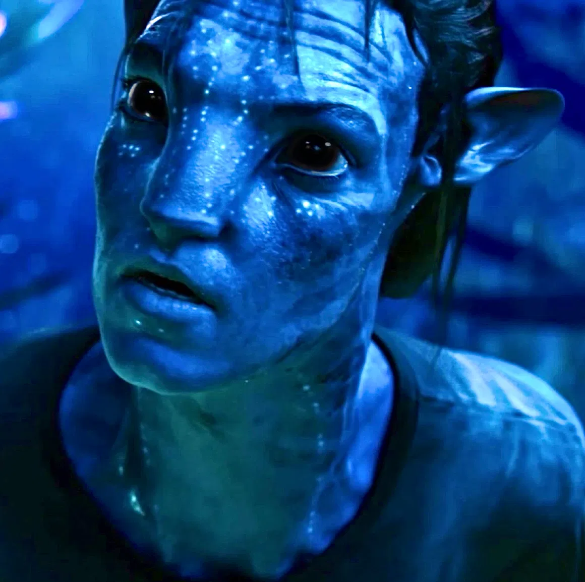 Avatar of Uninvited guest — Alien 𐊖𐊍𐊗𐊪𐊚