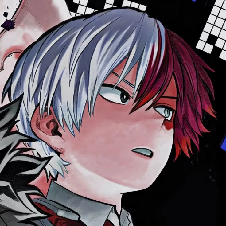 Avatar of Shoto Todoroki (Shoto) ❄️🔥 || My Hero Academia || MHA 