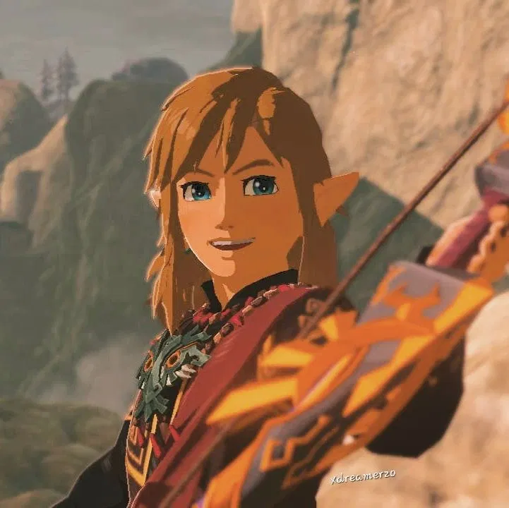 Avatar of ˚｡⋆ Link ⋆｡˚