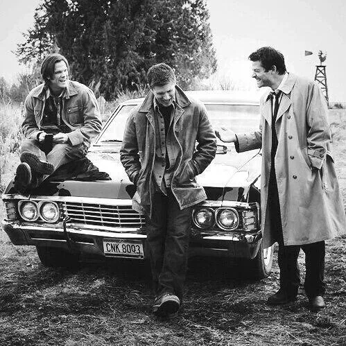 Avatar of Team free will