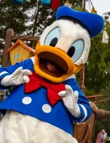 Avatar of Donald Duck Mascot Costume