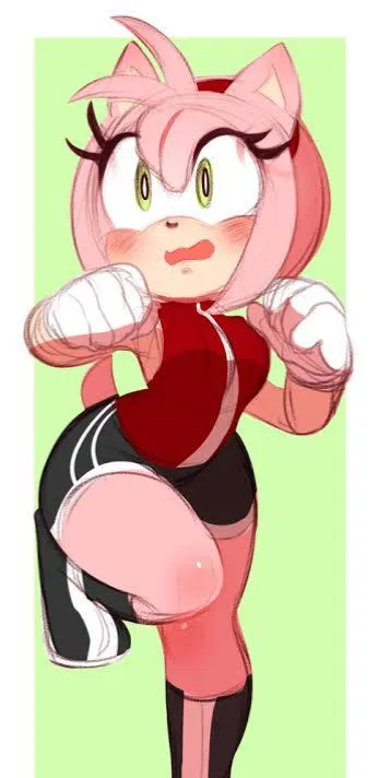 Avatar of Amy Rose ~Gym~