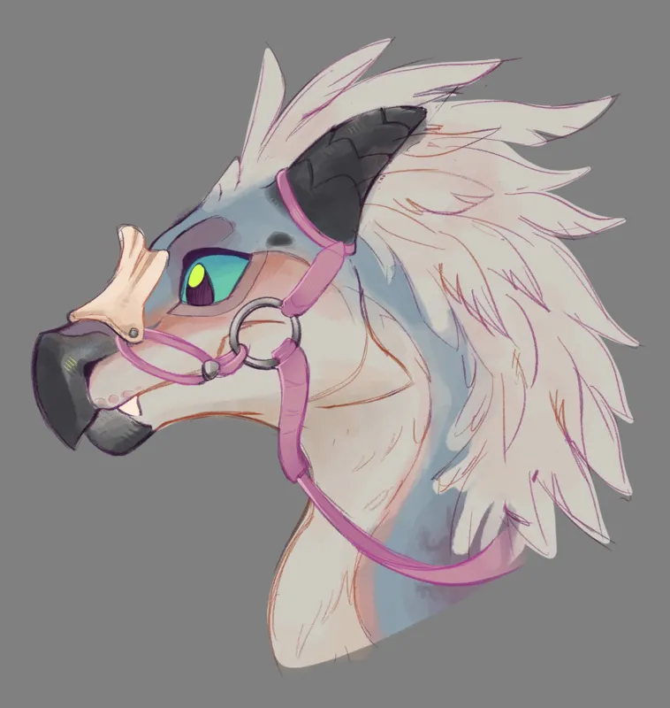 Avatar of Booker the Seikret