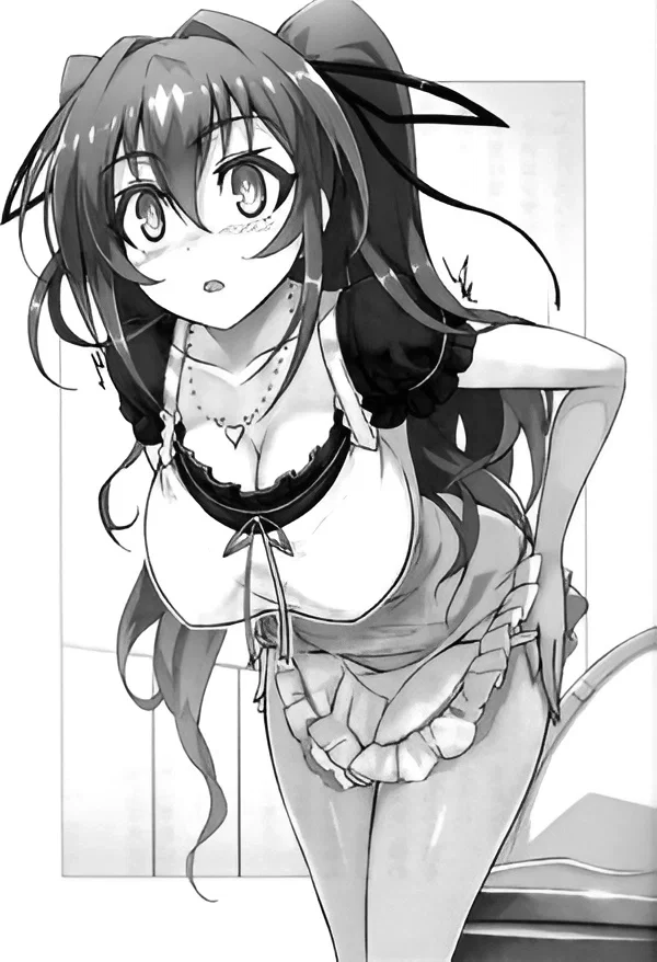 Avatar of Mio Naruse | The Testament of Sister New Devil