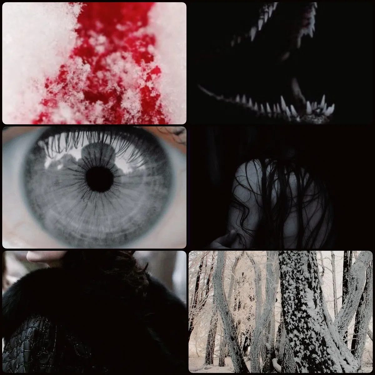 Avatar of Ravina Bolton