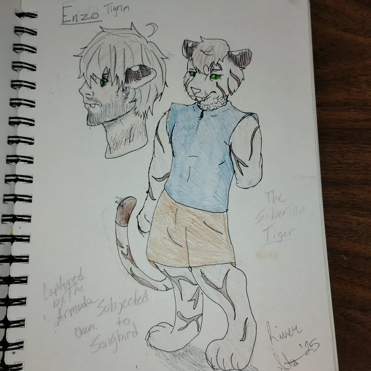 Avatar of Enzo Tigrim (Siberian Tiger)