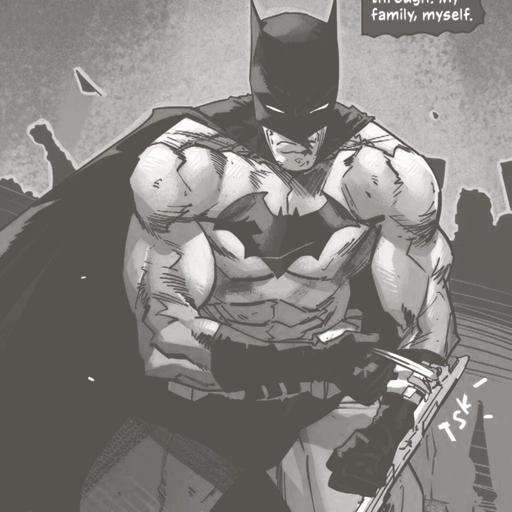 Avatar of ₊𖥔        Bruce Wayne