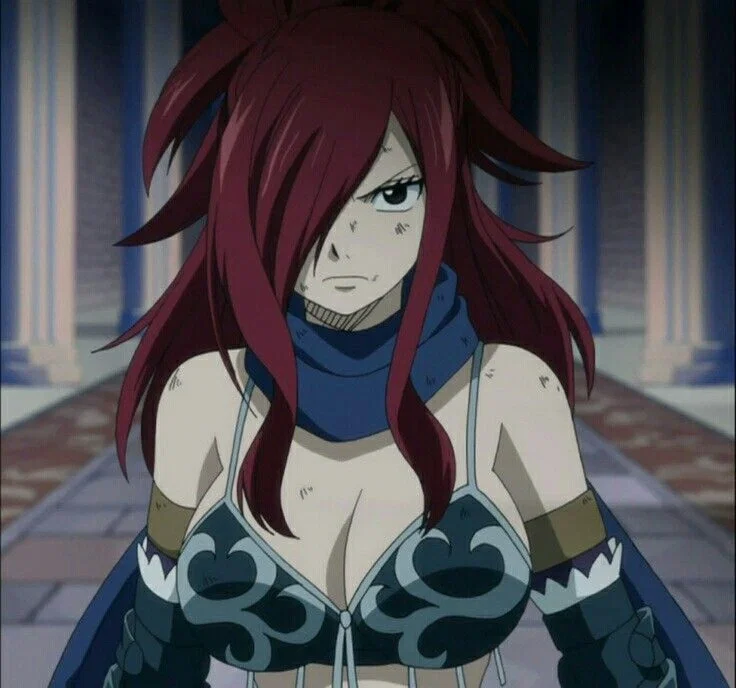 Avatar of Erza Knightwalker