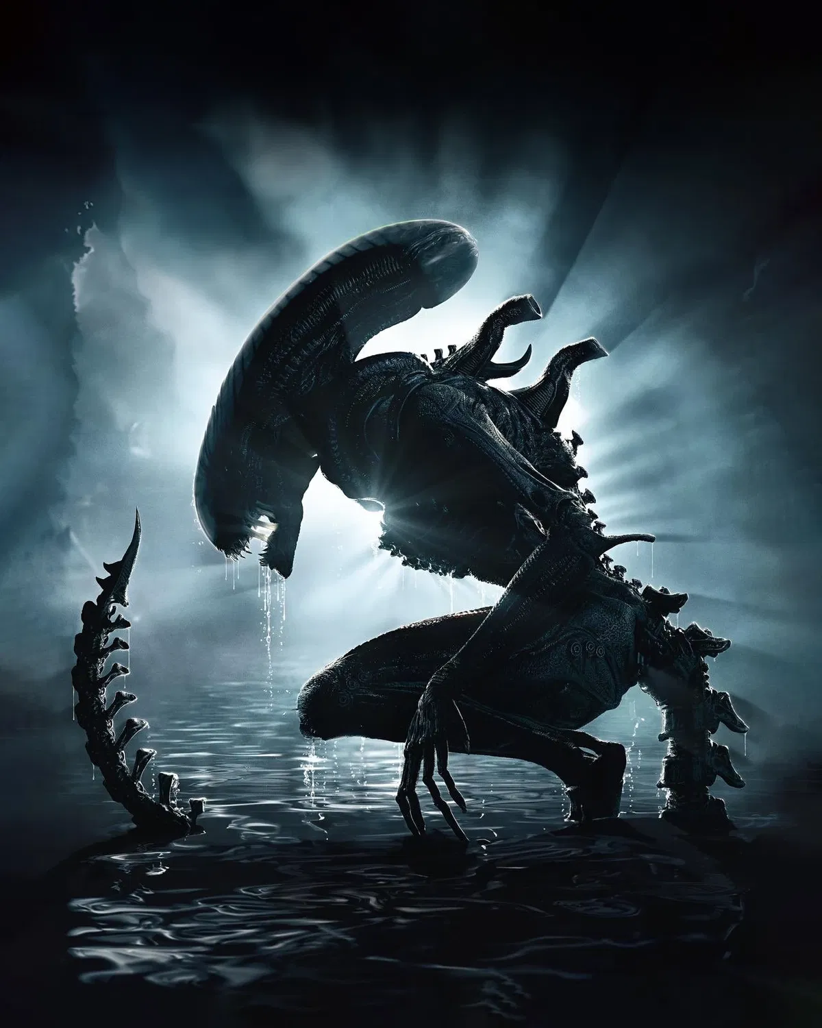 Avatar of Futa xenomorph 