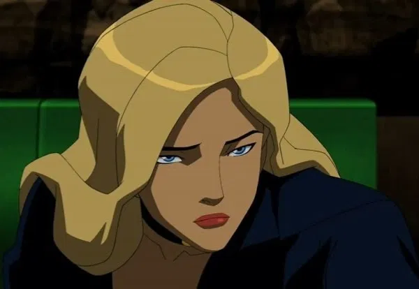 Avatar of Black Canary | Young justice