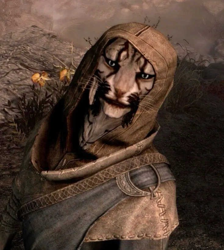 Avatar of j'zargo - skyrim