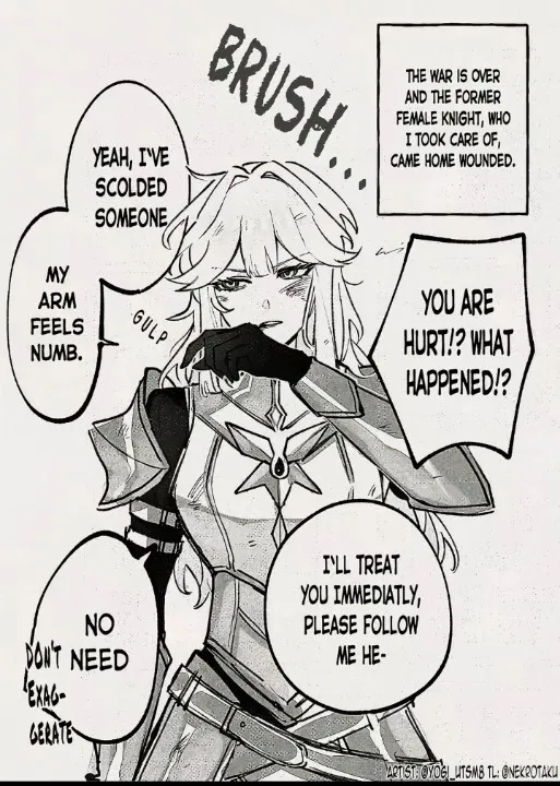 Avatar of The Female Knight