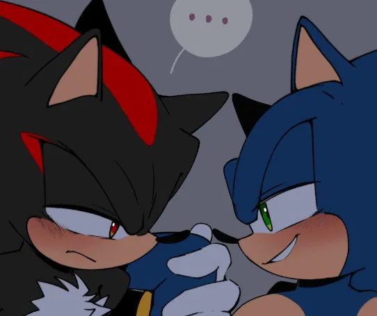 Avatar of 𐔌 . ⋮ Shadow & Sonic.ᐟ ֹ ꒱