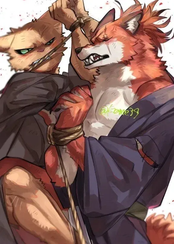 Avatar of Fox and Cat