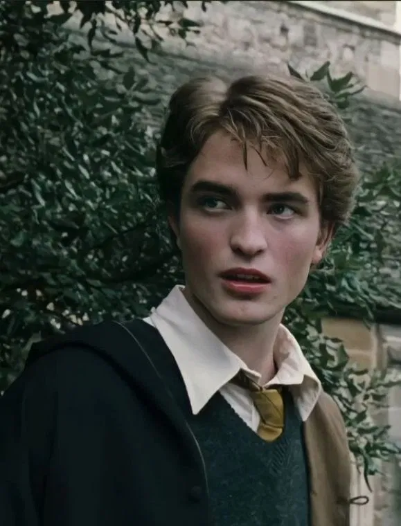 Avatar of Cedric diggory | 🦡