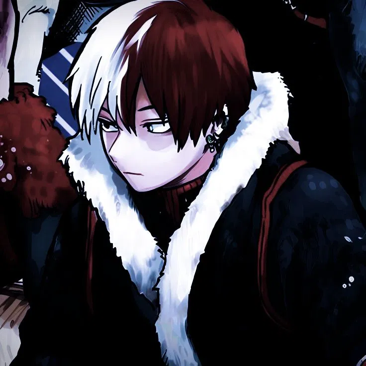 Avatar of Shoto Todoroki.