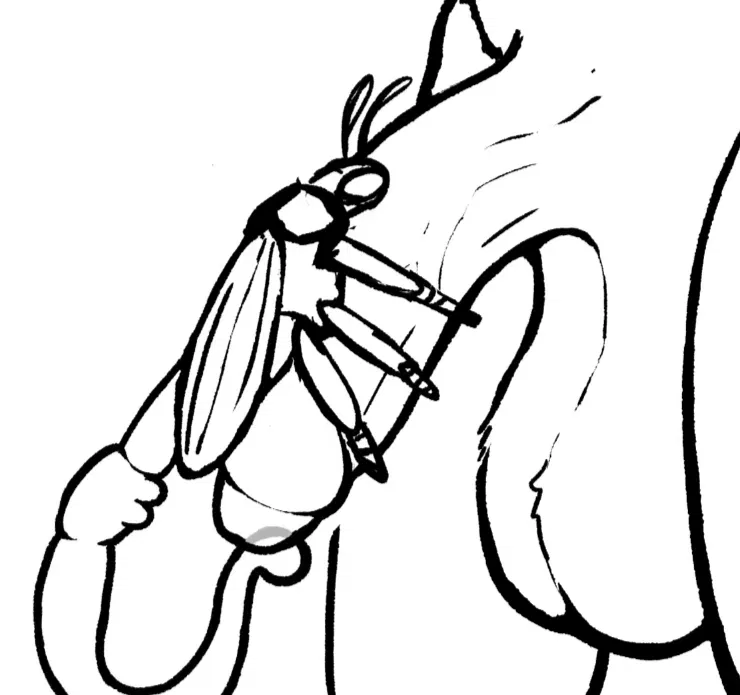 Avatar of Insects caretaker🦗🪲