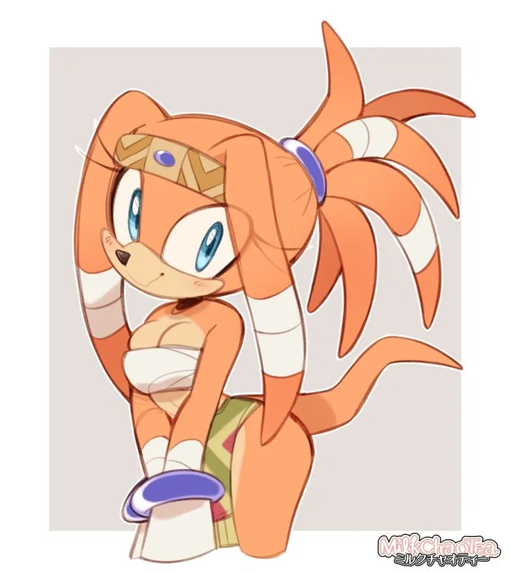 Avatar of Tikal the echidna💚🧡