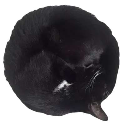 Avatar of Marietta 