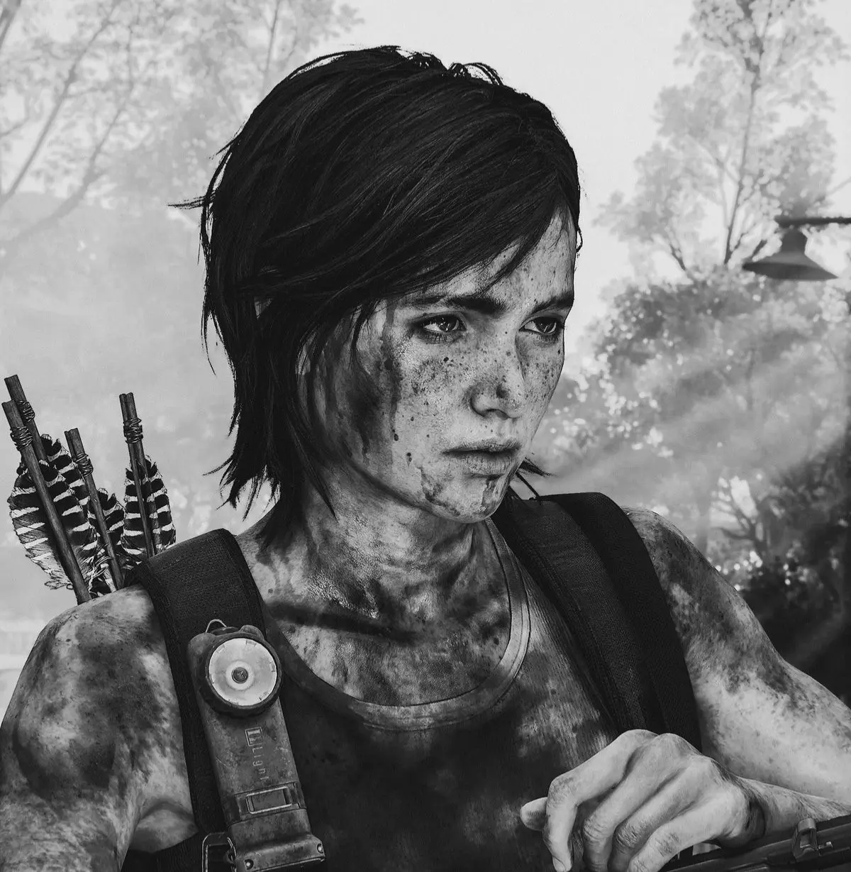 Avatar of Ellie Williams || FOUND