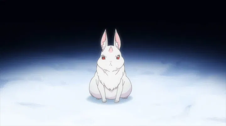 Avatar of The Great Rabbit 🐇 | Just a cute little rabbit