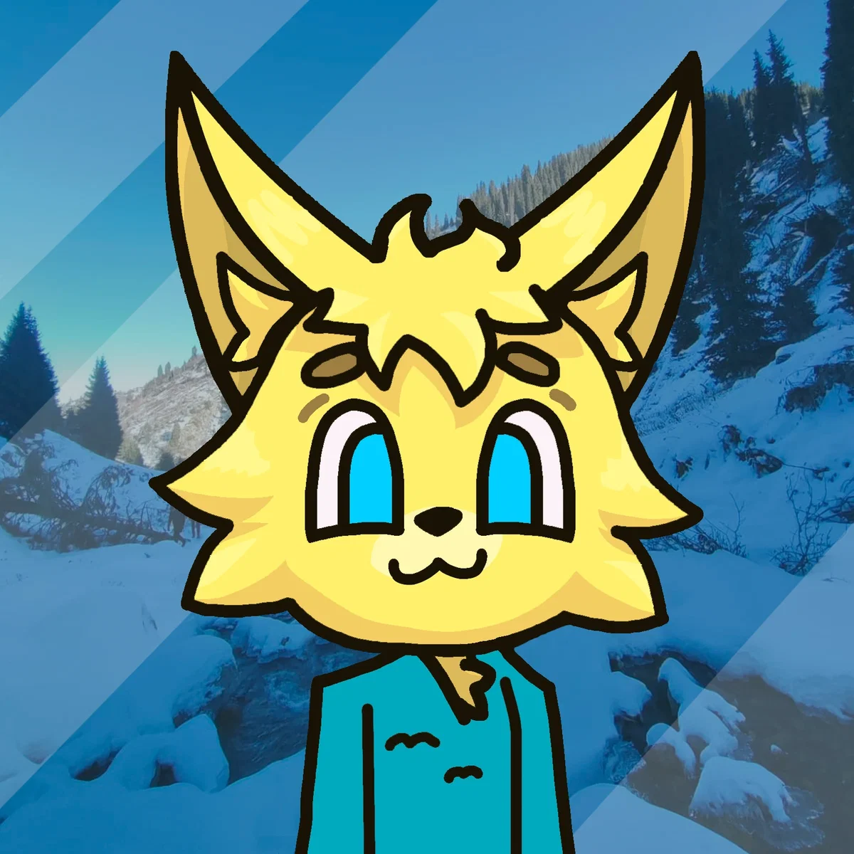 Avatar of Micro Mex 