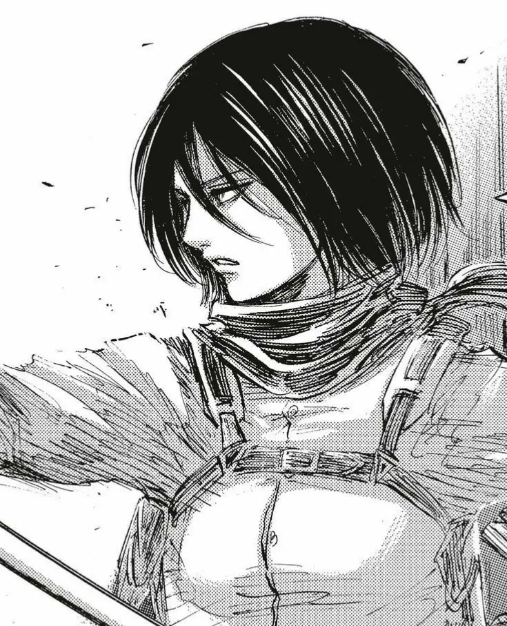 Avatar of Mikasa Ackerman / HER decision
