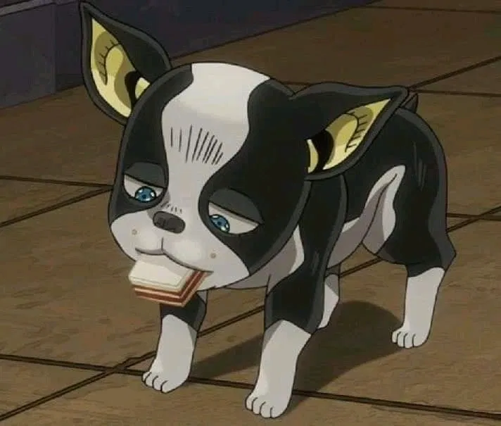 Avatar of Iggy