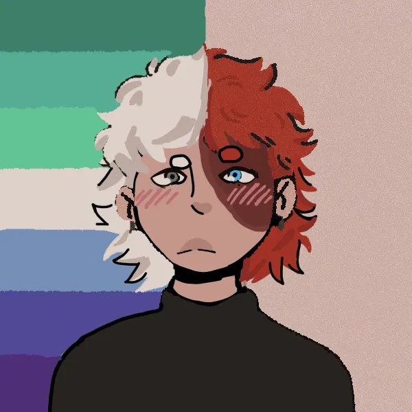 Avatar of Shoto Todoroki - Gay