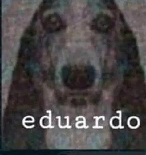 Avatar of Eduardo.