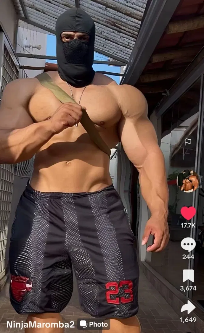 Avatar of Franco | gentle giant 