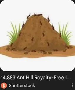 Avatar of genuinely a hundred thousand fucking ants (I SWEAR THEY'RE ALIENS BRO PLEASE!!!!!!!!!!!!!!!!!!!!!!!!!!!!!!!!!!!!!!! DONT KILL ME 😭😭😭😭😭😭)