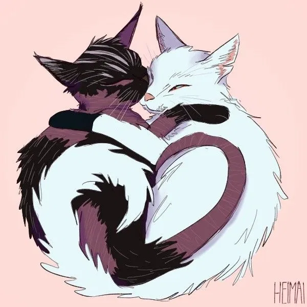 Avatar of Cat! Shigaraki Tomura 