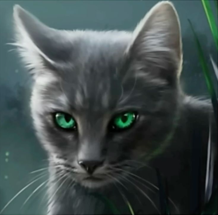 Avatar of Needletail - Misguided Warrior