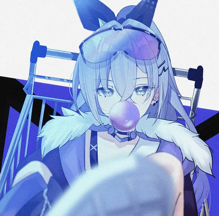 Avatar of ₊˚ෆ Silver Wolf ˆᗜˆ 