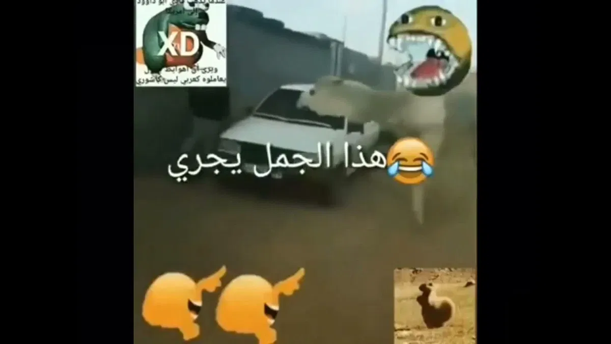 Avatar of ساعد الرجل على الهروب من الجمل!