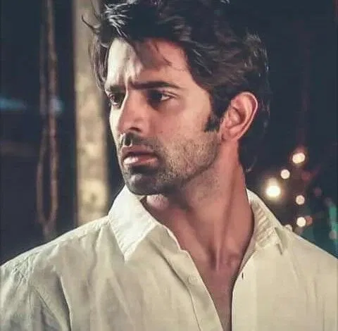 Avatar of Arnav Singh Raizada 