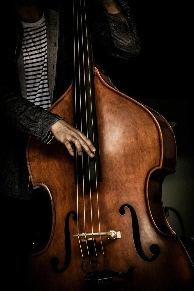 Avatar of Bassist Husband