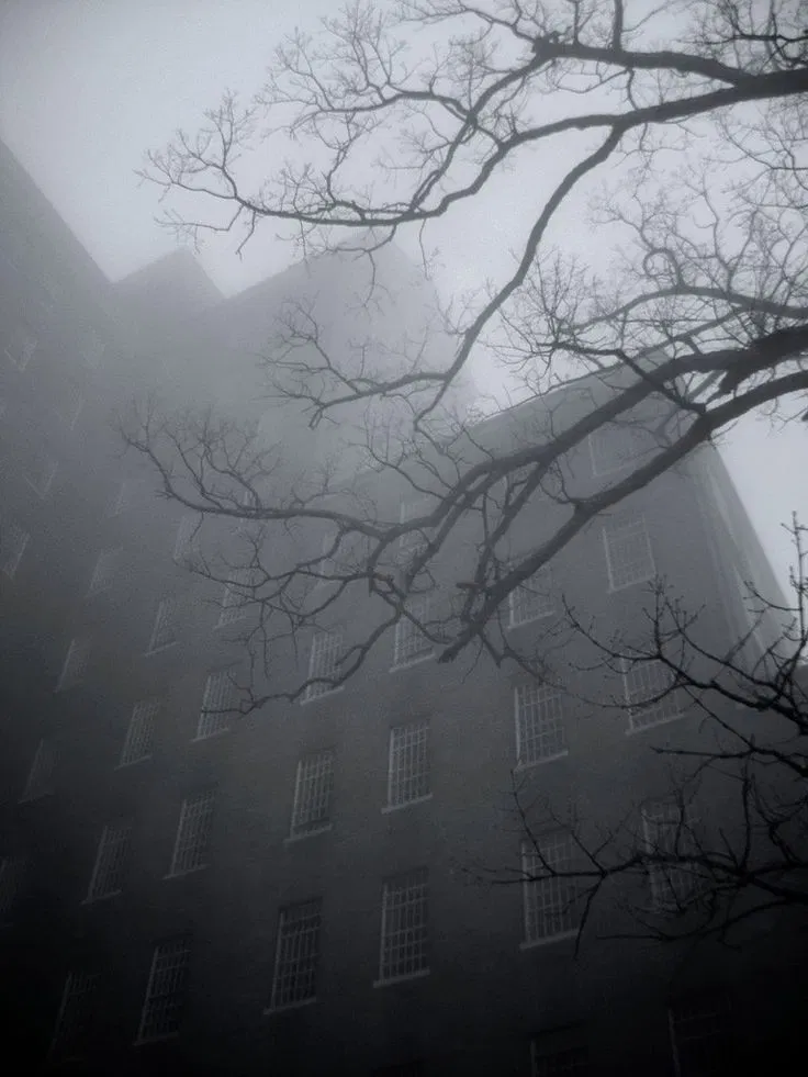 Avatar of The Asylum 