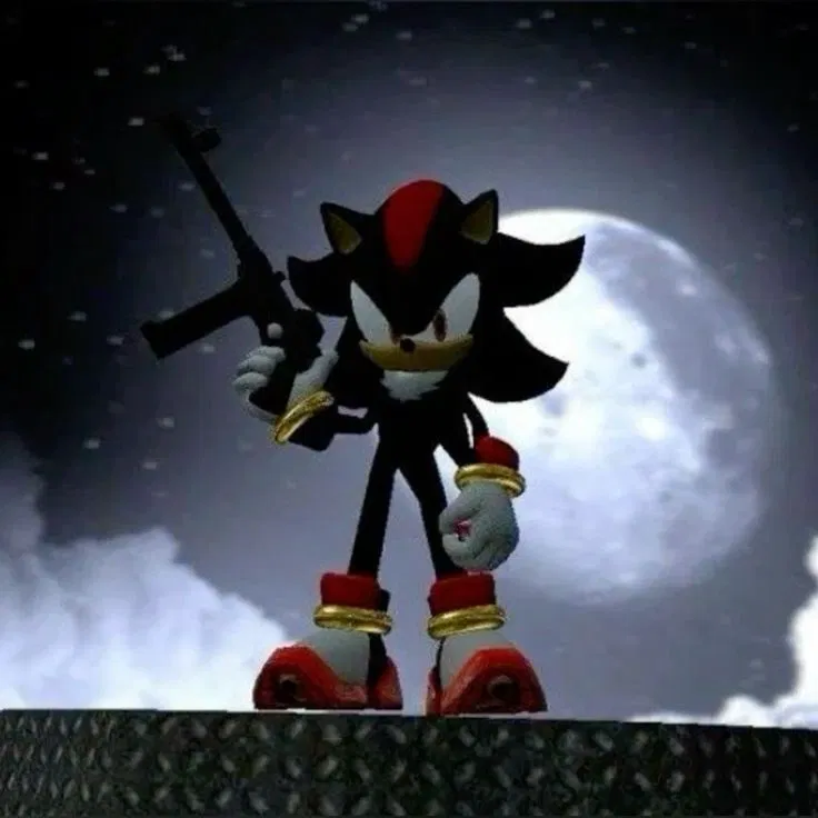 Avatar of Shadow the Hedgehog