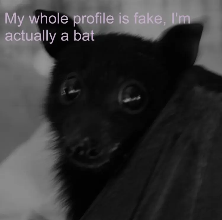 Avatar of Not a bot, just need ideas
