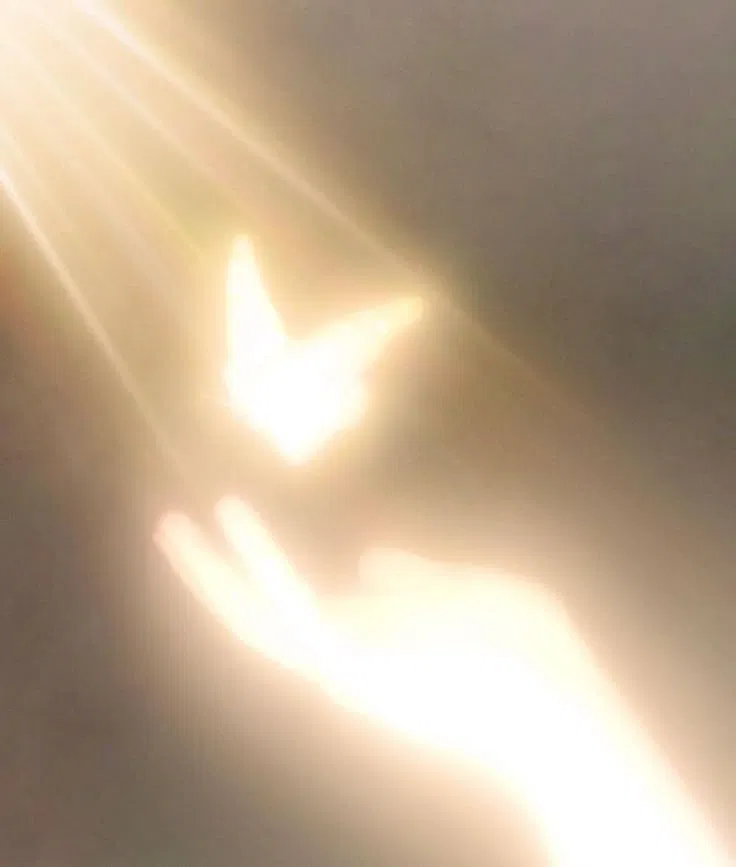 Avatar of Angel - Sol