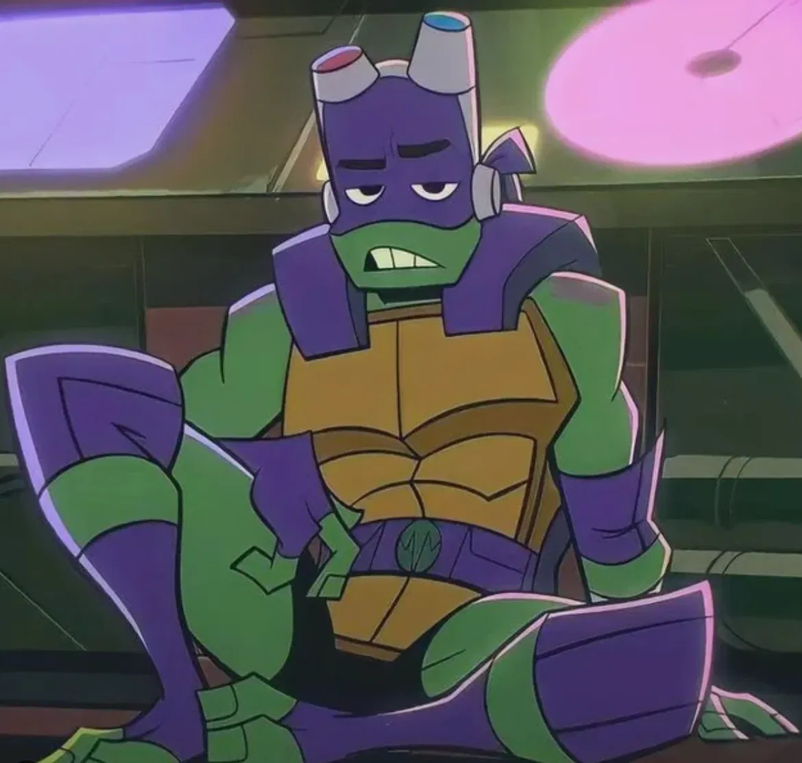 Avatar of Donatello Hamato- ROTTMNT