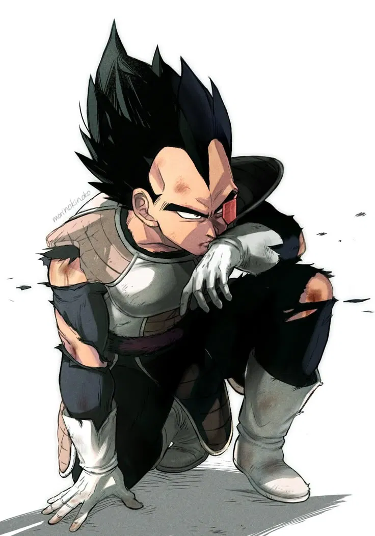 Avatar of Vegeta