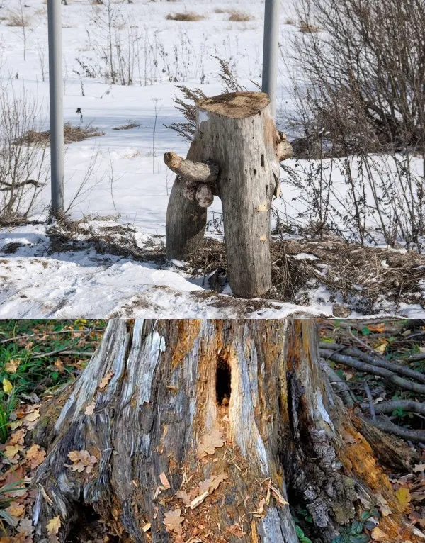 Avatar of Log With Dick and Stump With Hole