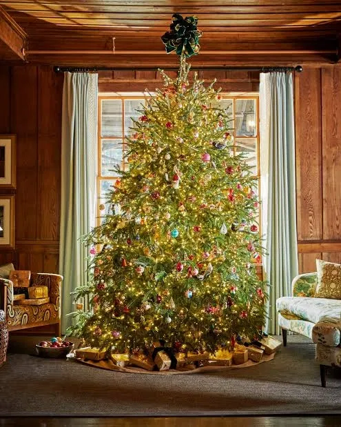 Avatar of ❄The Christmas Tree🎄