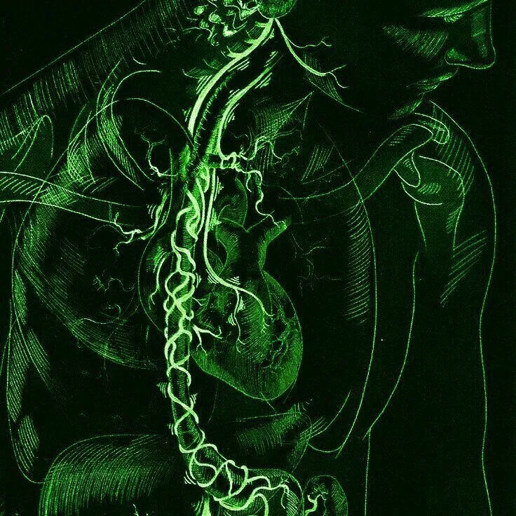 Avatar of Zeph